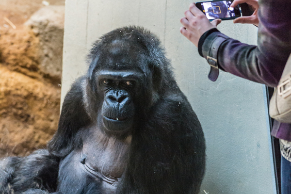 Foto: Zoo Basel
