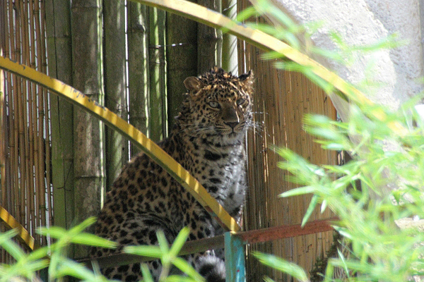 Foto: Erlebnis-Zoo Hannover