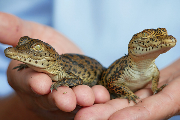 Foto: Zoo Hoyerswerda