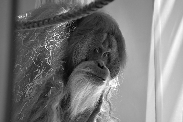 Foto: Tierpark Hellabrunn/Sarah Held