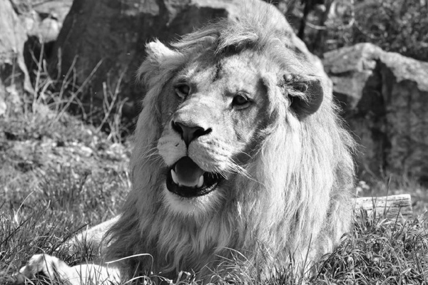 Foto: Zoopark Erfurt