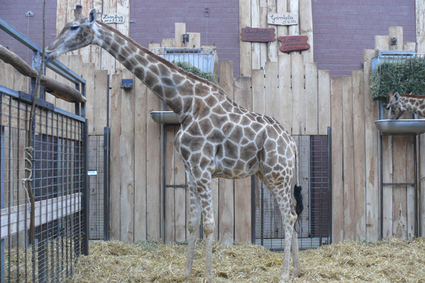 Foto: Zoo Dortmund