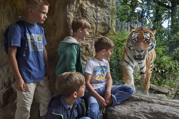 Foto: ZOOM-Erlebniswelt