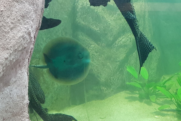 Foto: Tierpark Chemnitz/Jan Klösters
