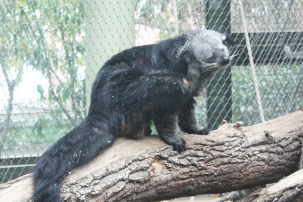 Foto: Zoo Frankfurt