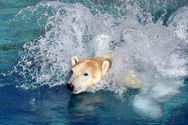 Foto: Zoo Rostock/Joachim Kloock