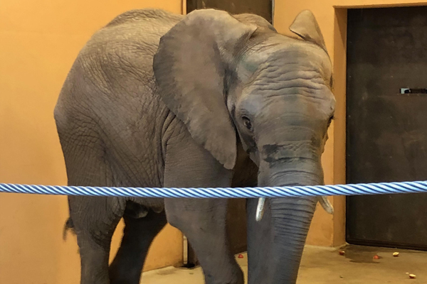 Foto: Zoo Magdeburg