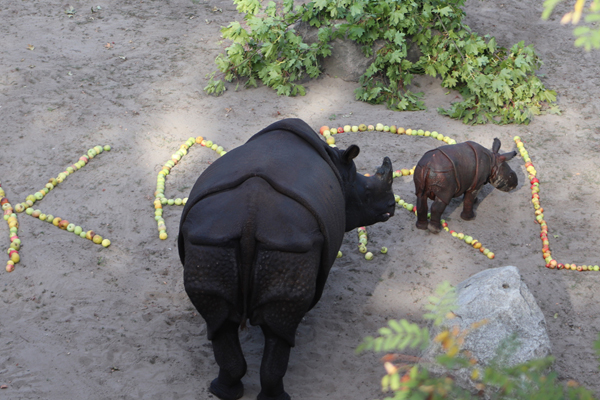 Foto: Tierpark Berlin