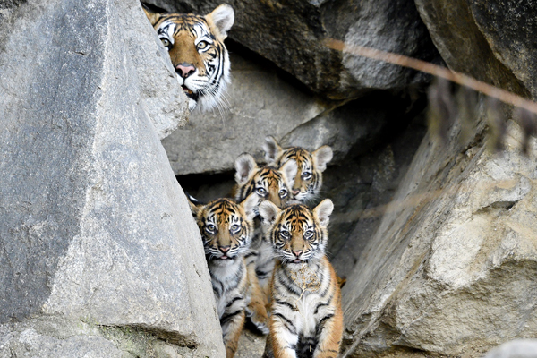 Foto: Tierpark Berlin