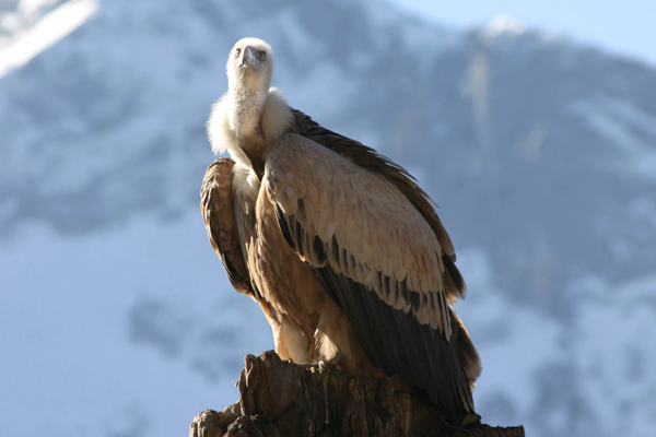 Foto: Zoo Salzburg