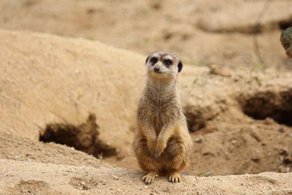 Foto: Zoo Duisburg
