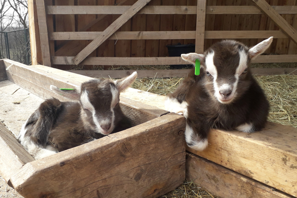 Foto: Thüringer Zoopark Erfurt