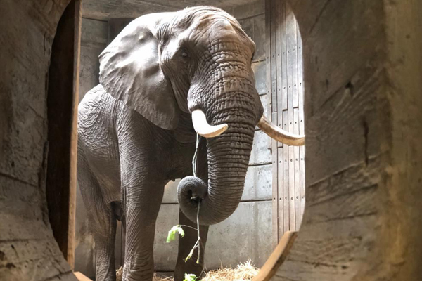Foto: Zoo Wuppertal/Christian Licht