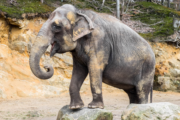 Foto: Neunkircher Zoo