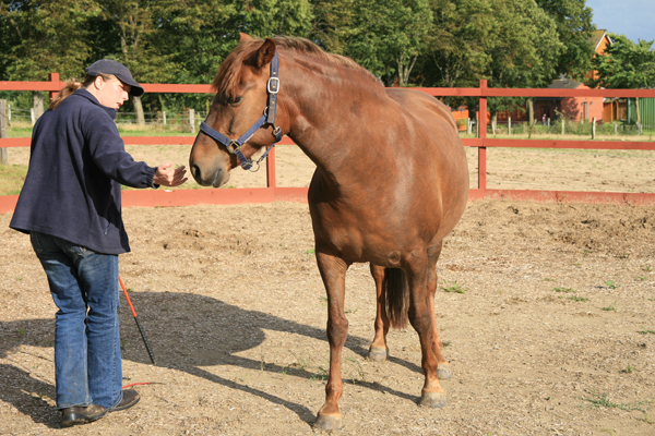 Foto: Arche Warder/Sabine Schweizer