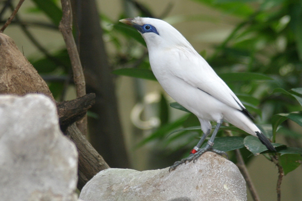 Foto: Aquazoo Düsseldorf