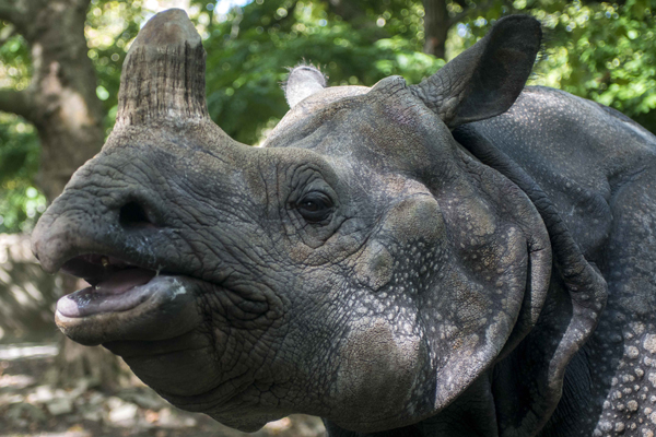 Foto: Zoo Berlin