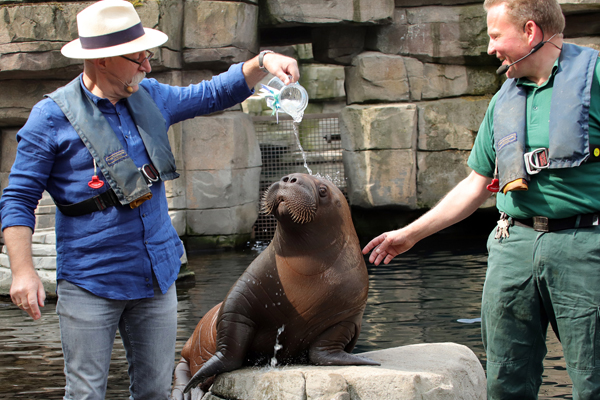 Foto: Tierpark Hagenbeck/Götz Berlik