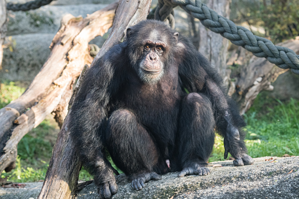 Foto: Zoo Basel