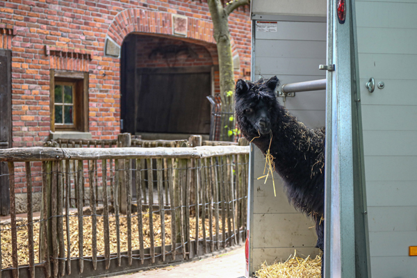 Foto: Tierpark Nordhorn/Wilfried Jürges