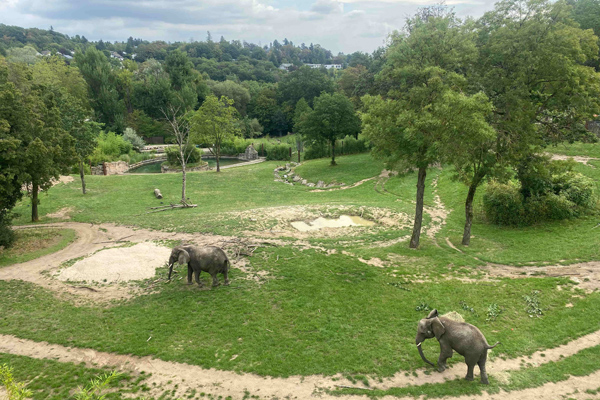 Foto: Opel-Zoo