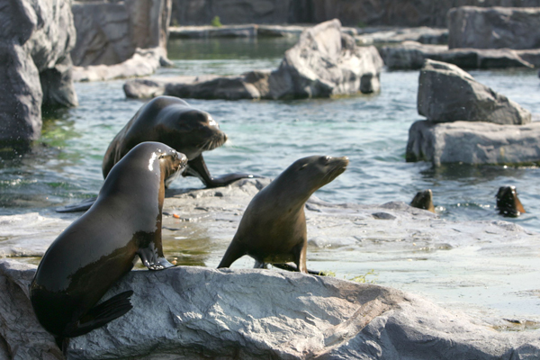 Foto: ZOOM-Erlebniswelt