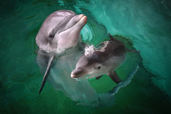 Foto: Zoo Duisburg