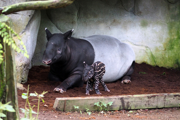 Foto: Zoo Leipzig