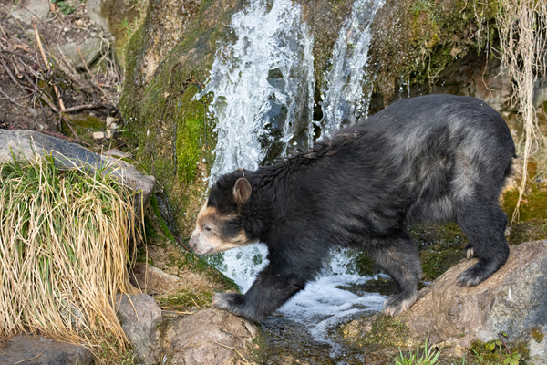 Foto: Zoo Zürich