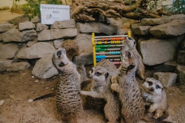 Foto:Tierpark Bochum