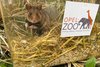 Foto: Opel-Zoo