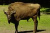 Foto: Tierpark Neumünster