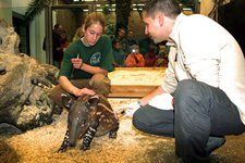 Foto: Zoo Wuppertal