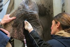 Foto: Zoo Heidelberg